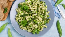 Salade de Macaroni al Pesto