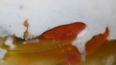 Verrines de mousse parfumée aux dattes sur aljouke de courgettes et salade marocaine