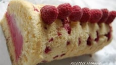 Bûche glacée, vanille framboises