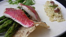 Rouget juste poêlé saveur noisette accompagné d'asperges vertes