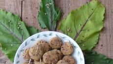 Mini falafels au duo de quinoa
