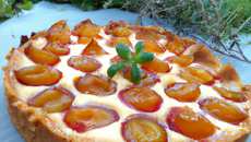 Tarte aux mirabelles au thermomix