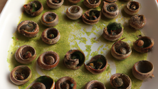 Escargots à la catalane