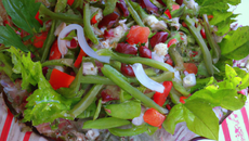 Salade de printemps aux fèves et haricots coco