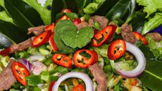 Salade de bœuf à la thaïlandaise traditionnelle