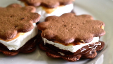 S'mores végétaliens