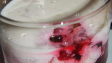 Panna cotta aux fruits rouges