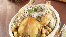 Poulet en croûte de sel et grenailles de Noirmoutier