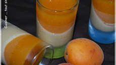 Panna Cotta au chocolat blanc et abricot