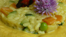 Risotto printanier sur une crème de carottes au curcuma