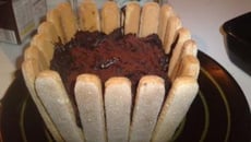 Charlotte au chocolat savoureuse