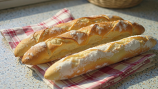 Baguette Tradition