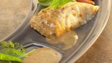 Dos de cabillaud à la crème de maroilles