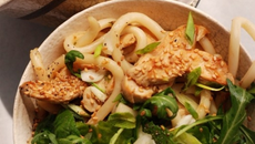 Udons et verdures printanières au poulet