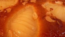 Tarte bourdaloue facile