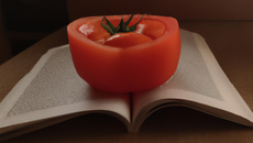 La boîte de tomate imaginaire