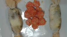 Bonbons de brick au Saint-Morêt