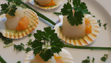 Saint Jacques marinées au gingembre et persil