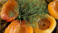 Fenouil braisé aux abricots