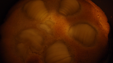 La tarte aux poires et chocolat