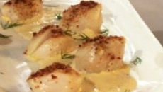 Saint-Jacques poêlées, chapelure de chorizo, sauce à l’orange