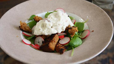 Glacé de roquefort, pain d'épices, radis et pourpier