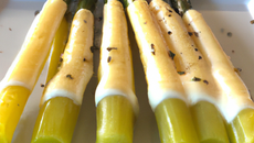 Asperges à l'aigrelette