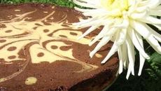 Cheese cake marbré