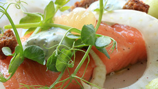 Saumon mariné au sel