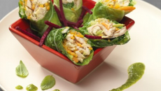 Lapin en feuille de chou façon cannelloni