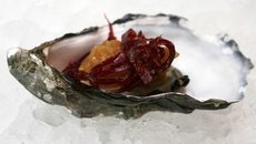 Huîtres pochées à la carbonade et bœuf séché