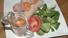 Rouleaux de printemps au saumon, radis noir et fenouil