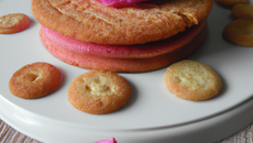 Charlotte aux griottes et biscuits roses