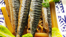 Filets de maquereaux à l'oseille