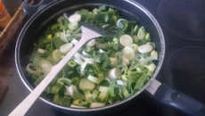 Lasagnes lardons poireaux