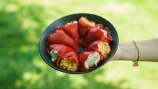 Duo de Piquillos farcis