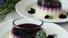 Panna-cotta au coulis de myrtille