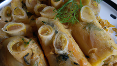 Cannelloni de sardine aux agrumes et fenouil croquant