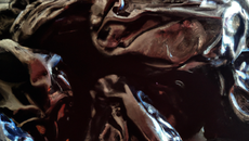 Pruneaux  Roquebrunes