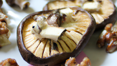 Cèpes farcis noix et papillon