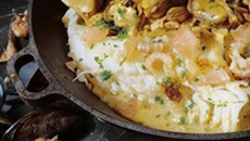 Filets de cabillaud à la chicorée façon côte d'opale