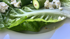 Romaine au concombre et chèvre frais