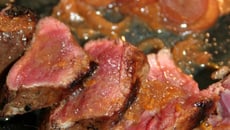 Bœuf de Chalosse miel et orange