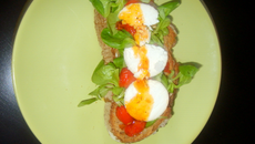 Tartine tomates-brebis