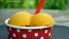 Sorbet mangue citron vert
