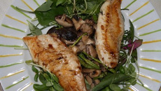 Filets de rouget sur champignons et petite salade