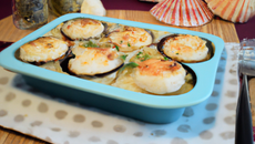 Cassolettes de Saint-Jacques à la nantaise