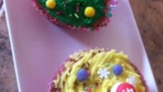 Duo de cupcakes