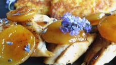 Filets de pintadeau aux abricots à la lavande