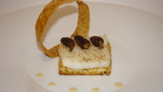 Filet de turbot et morilles poêlées, sur un lit de macaronis à la crème de parmesan, croustillant aux graines de sésame, et sauce au vin jaune